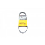 Ремінь генератора Fiat Croma 2.4D 05-/Alfa Romeo 159 2.4JTM 05-11 