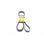 Ремінь генератора Mitsubishi Lancer 1.8 08-/Outlander 2.0-2.4 06- 