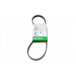 Ремінь генератора BMW 3 (E36)/5 (E34) 90-00 / Ford Focus 2.5 05-12 