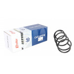 Пружина (передня) Renault Megane II 1.4-1.6 03-09 