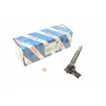 Форсунка Renault Laguna/Megane/Scenic 2.0dCi 08- 