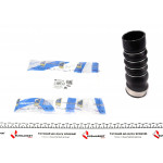 Патрубок інтеркулера (нижній) (R) Skoda Superb II/Octavia II 1.9TDI/2.0TDI 03-13 