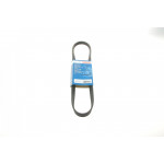 Ремінь генератора Renault Kangoo 1.2 97- (5PK915) 