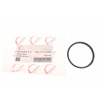 Прокладка радіатора масляного Renault Trafic 1.9 dCi (F9Q) 