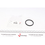 Прокладка радіатора масляного Citroen Berlingo/C4/C5/Jumper/Fiat Ducato 1.9D-2.2D 91- 