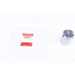 Поршень супорта (заднього) Hyundai Elantra 00-06/Kia Cee'd 12- (34x48mm) (TRW) 