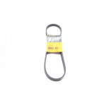 Ремінь генератора Renault Kangoo 1.2 97-/Mitsubishi Colt 1.5 06-09 