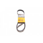 Ремінь генератора Citroen Jumpy 2.0HDI 10- 