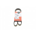 Ремінь генератора VW T6 2.0 TSI 15- (6PK1113) 