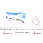 Прокладка труби вихлопної Fiat Ducato/Doblo 2.0D Multijet 10- 