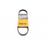 Ремінь генератора Hyundai Accent 1.3/1.5i/Getz 1.3i 94-05 