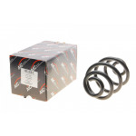 Пружина (задня) BMW 3 (E46) 316i/318d/i/320d/i/323i/325i/xi/328i/330d 98-06 