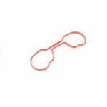 Прокладка колектора впускного Ford Focus 98-04 