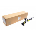 Амортизатор (задній) (L) Audi A6 04-11 (пневмо) 