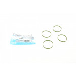 Прокладка колектора впускного Ford Transit Connect 1.0 EcoBoost 13- (к-кт) 