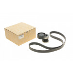 Комплект ременя генератора Renault Kangoo 1.5dCi 08- (6PK1199) 