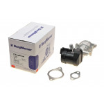 Клапан EGR Ford Focus II/Mondeo IV 2.0 TDCi 04-15 