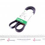 Ремінь генератора MB Sprinter OM601/602 (PS) 