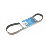 Ремінь генератора Fiat Scudo/Peugeot Expert 1.6 96-06 