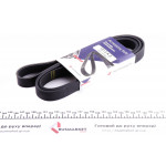 Ремінь генератора VW Crafter 2.0TDI 06- (6PK1613) 