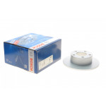 Диск гальмівний (задній) Skoda Superb/VW Passat 96-08 (244.9x10) 