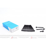 Болти головки (к-кт 10шт.) Citroen berlingo/Peugeot Partner 1.6 HDi 09- 