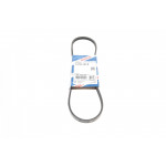 Ремінь генератора Renault Clio 1.4 90-98/Ford Sierra 1.8TD 88-93/Subaru Justy 1.3GX 95-03 (3PK815) 