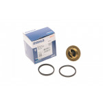 Термостат Renault Kangoo 1.9D/DTI 97- (89°C) 