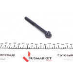 Болт головки Renault Kangoo 1.4-1.6 97- (M10x1.5) 