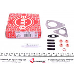 Комплект прокладок турбіни VW Passat 1.9 TDI 96-05 