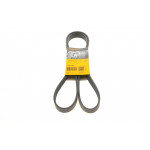 Ремінь генератора Nissan Terrano/Patrol 3.0 DTi 00-/Honda Accord/Civic 2.0/2.2 01- 