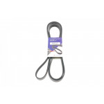 Ремінь генератора Audi A4/A5/A6 2.7/3.0TDI 04-11 (6PK2500) 