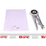 Подушка двигуна (задня/нижня) Citroen Jumper/Fiat Ducato/Peugeot Boxer 3.0 D/HDI 06- 