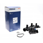 Термостат Renault Master/Trafic 2.2-2.5dCi/Opel Movano/Vivaro 2.5CDTI 