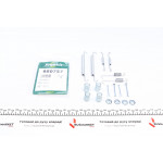 Комплект пружинок колодок ручника Renault Scenic/Megane 1.4-2.0 97-03 (TRW) 