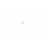 Кільце ущільнююче Daf/Fiat/Honda/Scania 