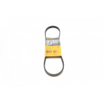 Ремінь генератора Honda Civic VI/Nissan Primera/Citroen Berlingo 1.4-1.6 16V 94-05 (4PK800) 