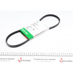 Ремінь генератора Audi/BMW/Fiat/Kia/Mazda 