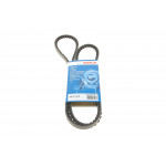 Ремінь генератора Iveco/Man M 2000 L (10x1375) 