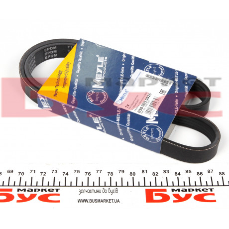Ремінь генератора Fiat Ducato 1.9D/TD 94-02 (5PK925)