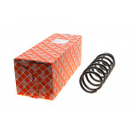 Пружина (задня) Renault Megane 08-16 