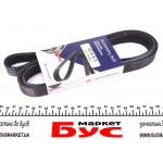 Ремінь генератора Fiat Scudo 1.9D/Ford Escort 1.6/1.8i (6PK1674) 