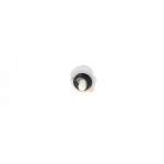 Ремінь генератора Fiat Palio 1.6/ Honda Accord IV/V 2.0 96- (5PK955) 