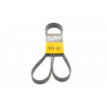 Ремінь генератора Citroen Berlingo 1.9D (1868) 