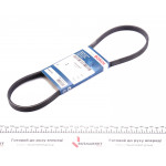 Ремінь генератора Fiat Doblo 1.6i 01- (4PK875) 