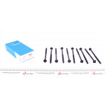 Болти головки (к-кт 10шт.) Peugeot Partner 1.4i 96-15 