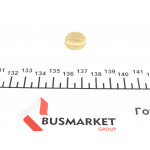 Заглушка блоку циліндрів (d=16,5mm) Латунь/Brass 