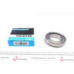 Підшипник (60x110x23.75) 