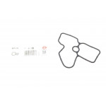 Прокладка помпи води Nissan X-Trail/Renault Megane/Scenic 2.0 dCi 07- 