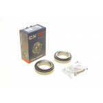 Підшипник маточини (задньої) Renault Master III 2.3dCi/Opel Movano B 2.3CDTI 10- 